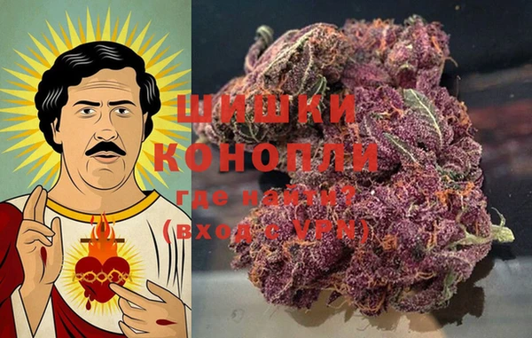 ПСИЛОЦИБИНОВЫЕ ГРИБЫ Тында