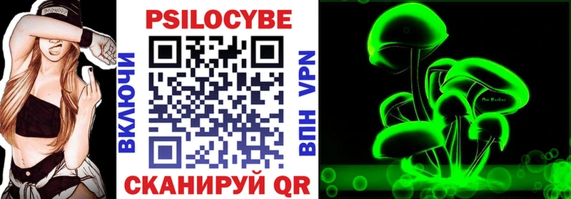 Галлюциногенные грибы Psilocybe  Купить  Бавлы 